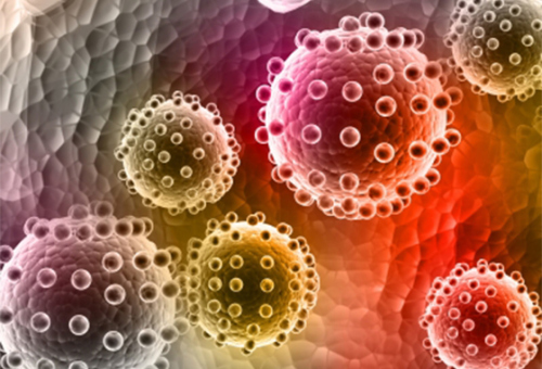 virus3_freedigitalphotos.jpg